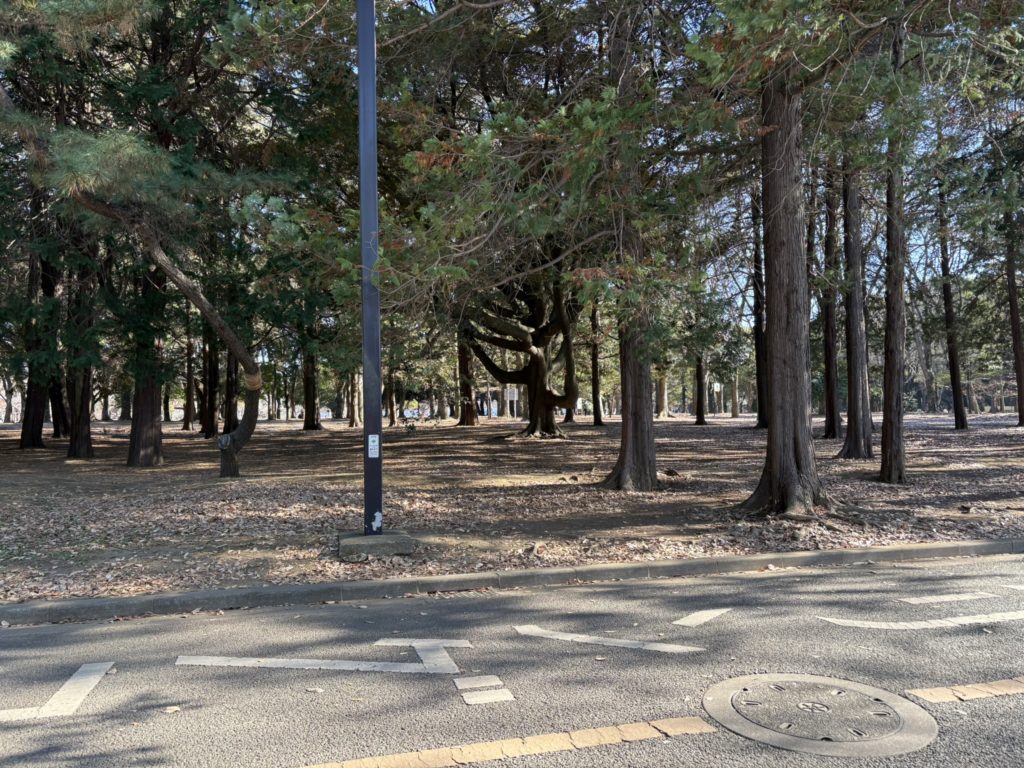 Yoyogi Park
