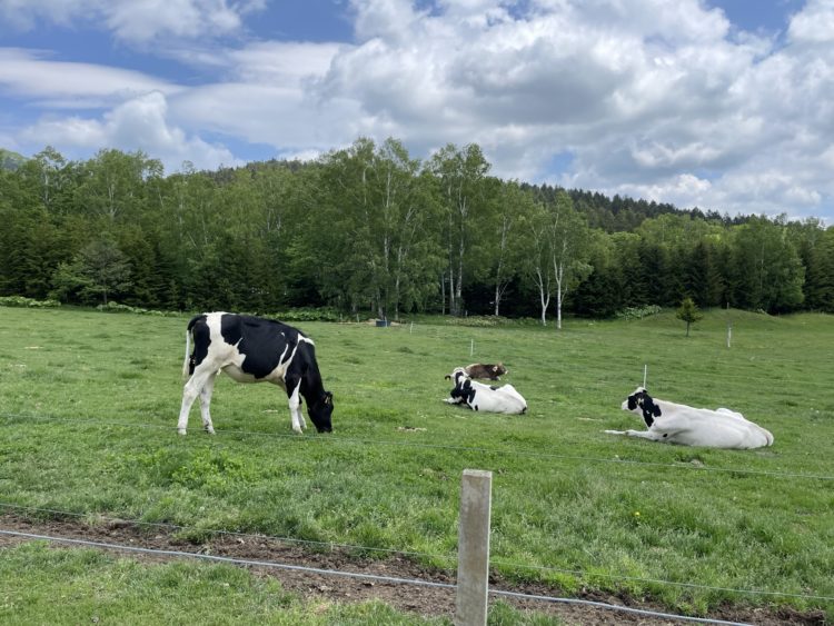 Hokkaido: Japan’s Northern Wonderland