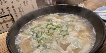 Discover Stewed Gyoza: A Delicious Twist on a Japanese Classic