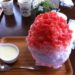 Discover Tokyo’s Best Kakigori Shops: A Guide to Japan’s Exquisite Shaved Ice