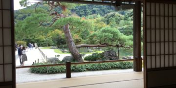 Tatami Layout Guide: Traditional Patterns, Meanings, and Modern Uses