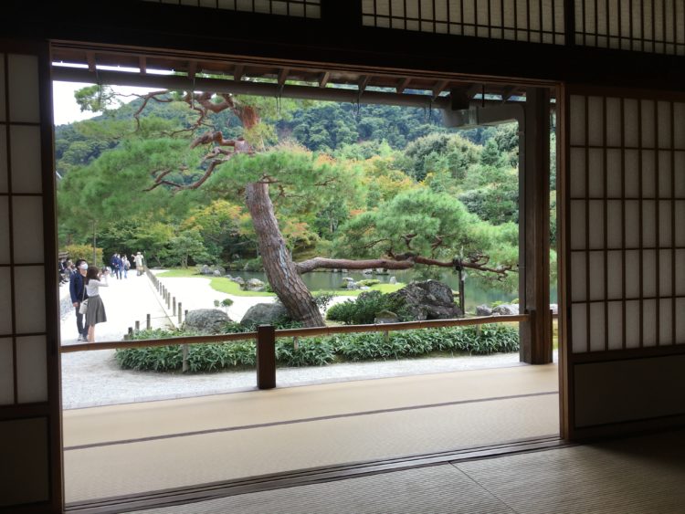 Tatami Layout Guide: Traditional Patterns, Meanings, and Modern Uses