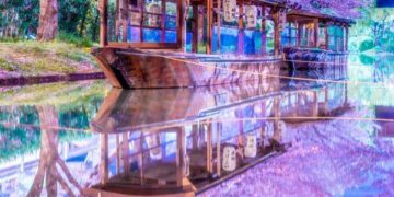 Best-Selling Japanese Anime and Manga Series: From Classics to Modern Hits