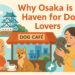 Introduction: Why Osaka is a Haven for Dog Lovers