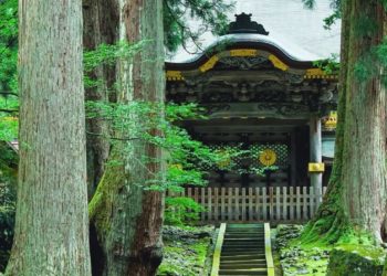 Fukui: Japan’s Dinosaur Kingdom and Coastal Retreat