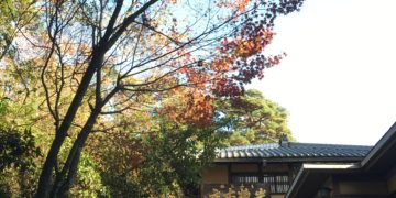 Peak Autumn Foliage in Japan: Best Time, Places, and Travel Tips