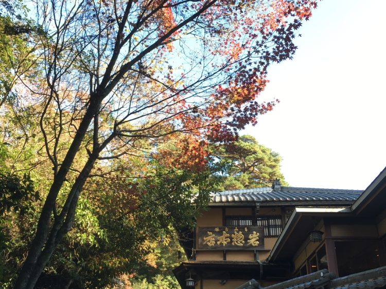 Peak Autumn Foliage in Japan: Best Time, Places, and Travel Tips