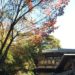 Peak Autumn Foliage in Japan: Best Time, Places, and Travel Tips