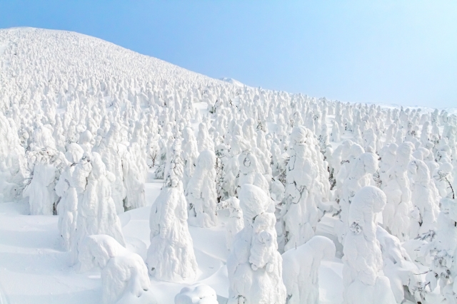 Zao Onsen and Snow Monsters
