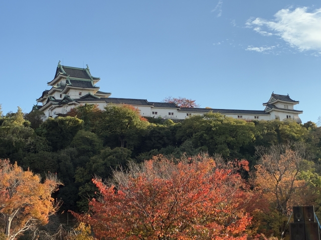 wakyama castle